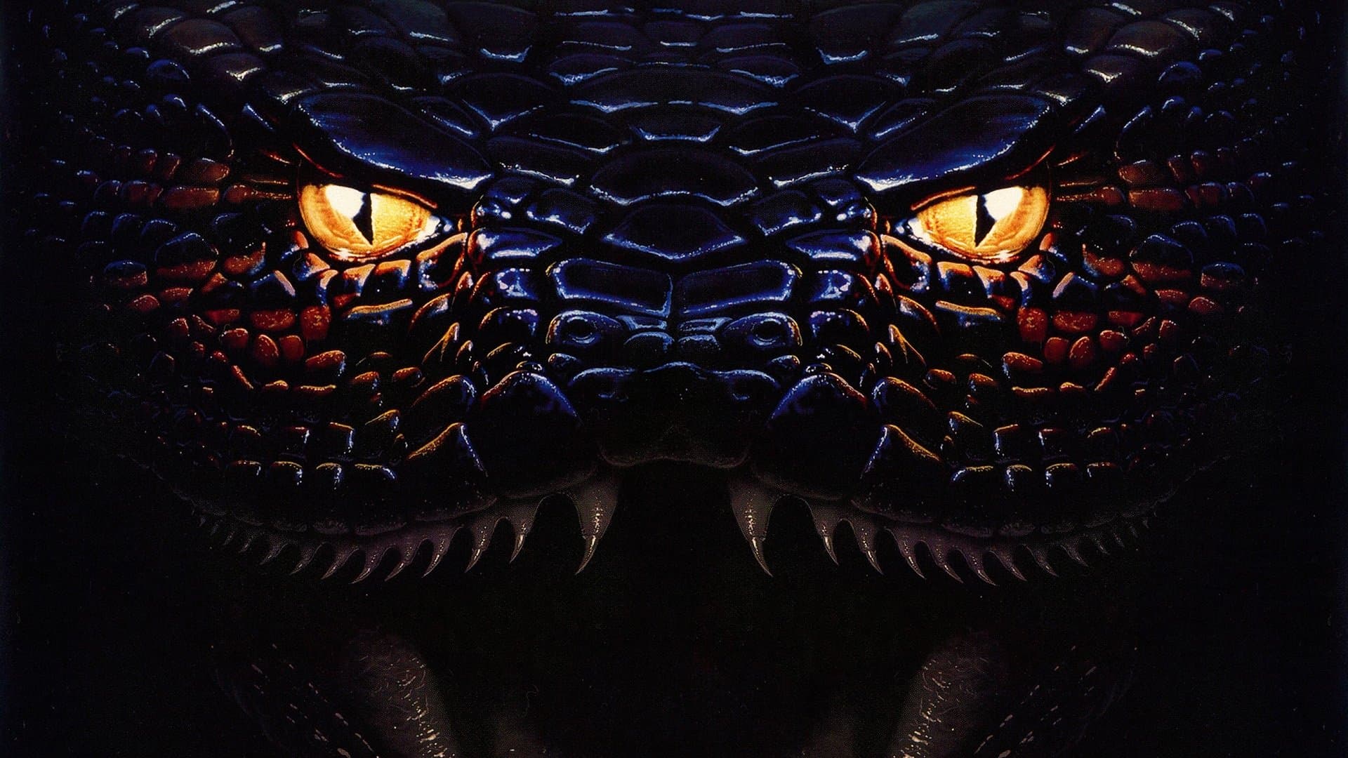 Anaconda